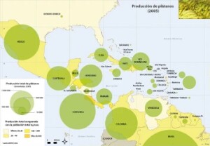 11-12E-3_Agri-banane_Es